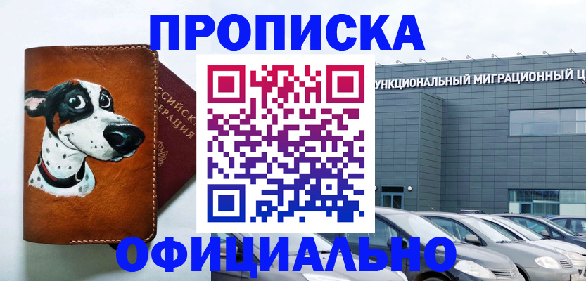 временная прописка в Гатчине